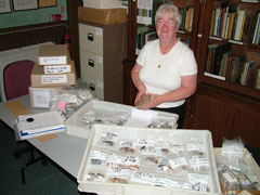 Denny Dudds sorting the last of the Howburn finds ready for specialists work on them.