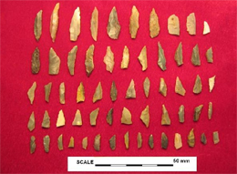 Fig. 17: Mesolithic flint assemblage, Daer Valley