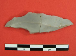 Fig. 19 . Palaeolithic tanged point, Howburn.