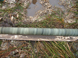 Section of core sample