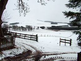 Snow covered Elsrickle field - the site for the coring sample