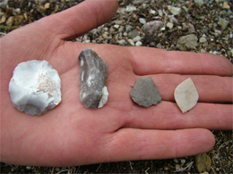 Some of the Early Neolithic items found so far