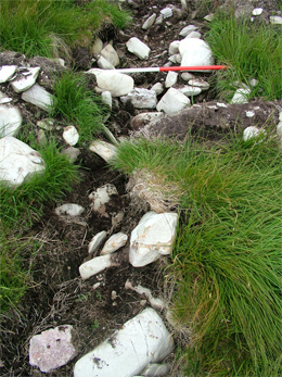 A typical plough wrecked cairn, this covered the cremation pit