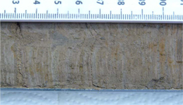 fig 4. Millimetre and narrower laminae in the oldest lake sediment to have formed in the Priest's Well basin 