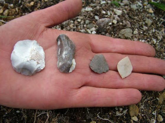 Neolithic Flint Tools