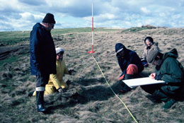Volunteers Surveying
