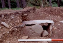 Cist No 1. Cup marks on the side slab are natural