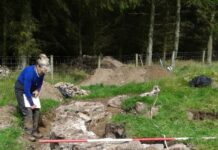 Braehead cottage excavation drawing