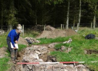 Braehead cottage excavation drawing